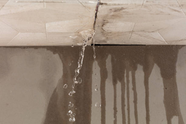 Professional Burst Pipe Cleanup technician working in Brevard, NC